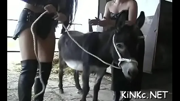 Celkový počet nových filmov: Sexy girls enjoying themselves riding on