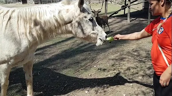 新しい映画合計 馬の手足の大きさを見て、私はすべて濡れました!!!彼氏がそうだったらいいのに!!!パティバット、エルトロデオロ 本